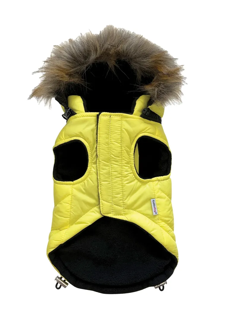 FoufouBrands Neon Fouski Dog Coat