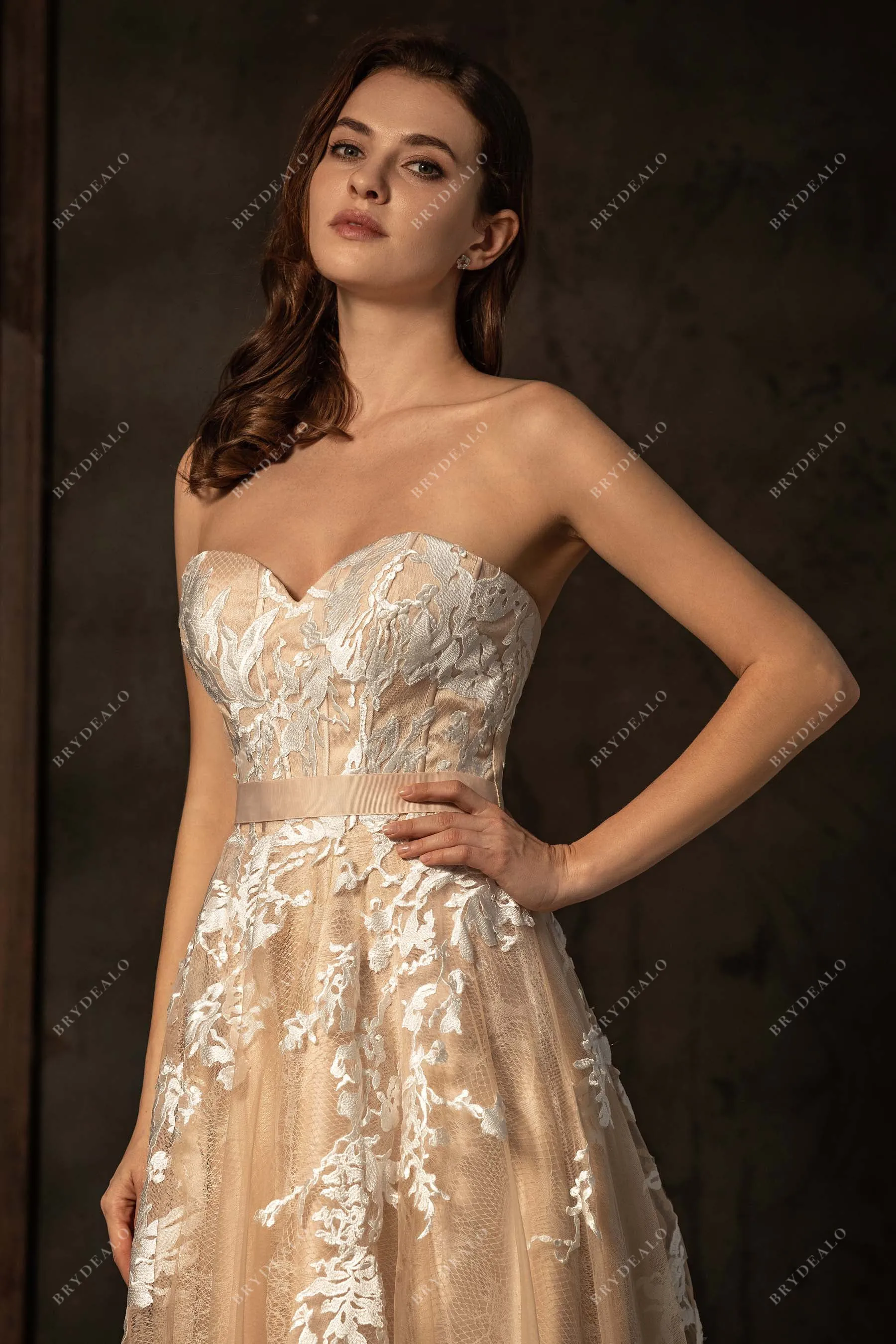 Lace Colored Strapless Traditional Sweetheart Neck Wedding Dress