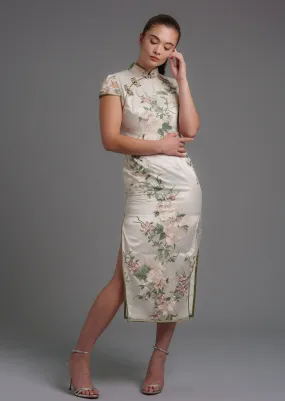 Paperwhites Cap Sleeve Lace Qipao (White/ Green)