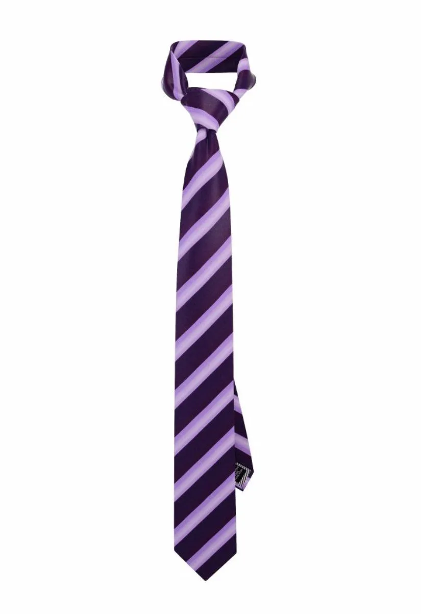 Royal Purple Striped Traditional Tie