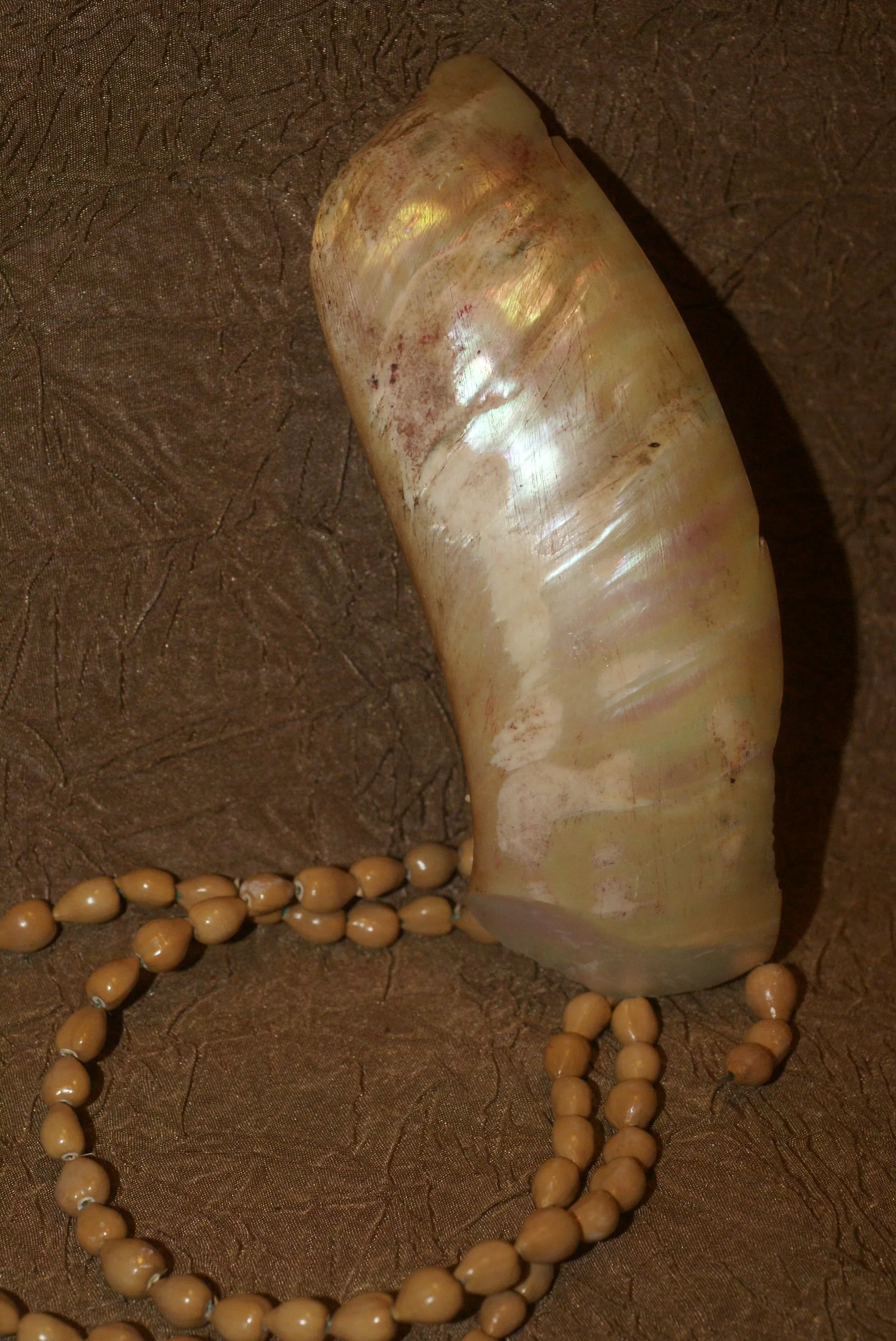 Tribal Mengar Pectoral Necklace or Ornament,  also Kina Currency, Large Mother of Pearl Drop Pendant  (6” long) with Shells Decorations & Seed Beads Band, Ethnic Shell Art from Kimbaku Village, Western Highlands, Papua New Guinea KD4