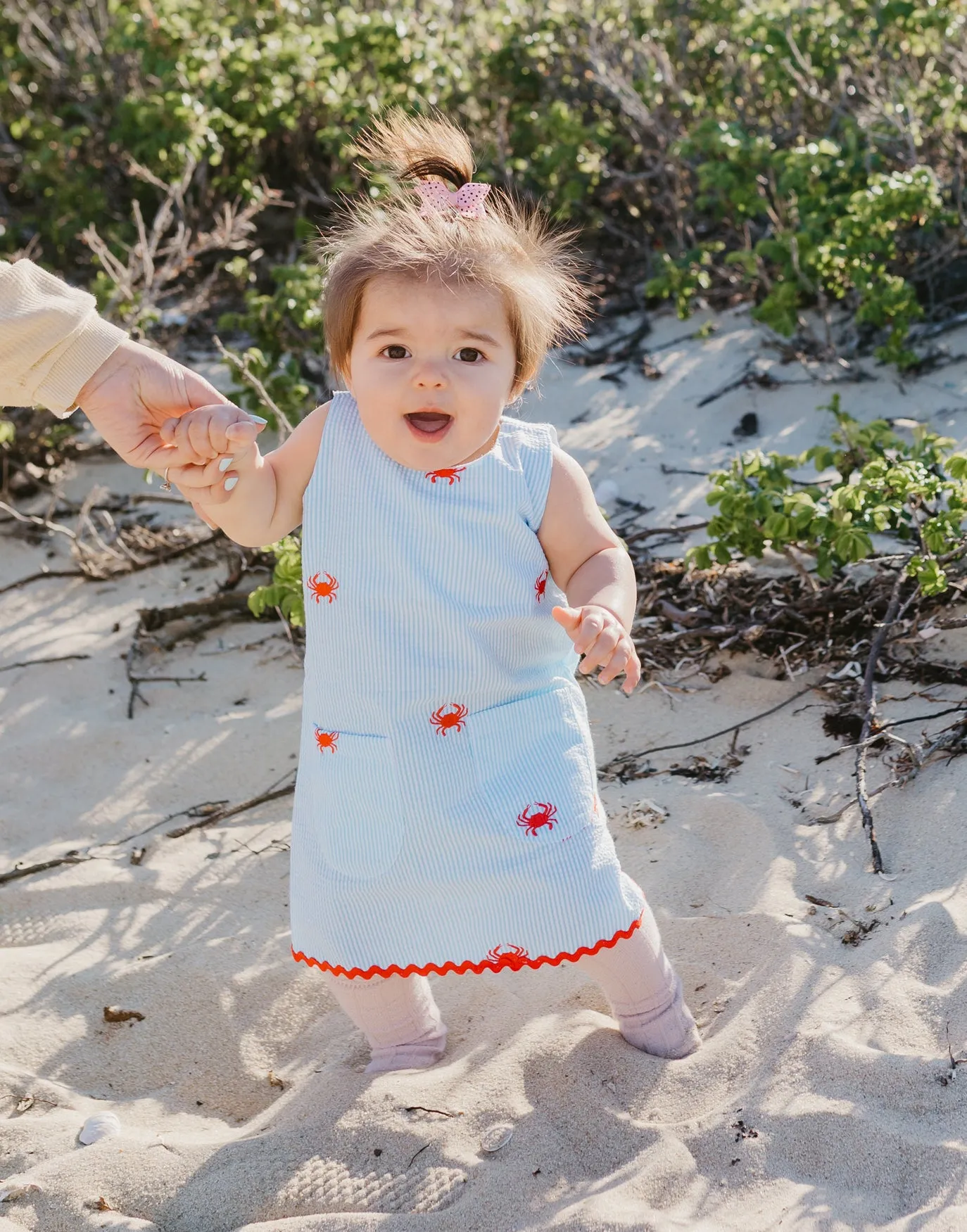 Turquoise Seersucker Girls Dress with Red Embroidered Crabs